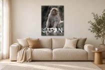 Jigokudani Monkey Park